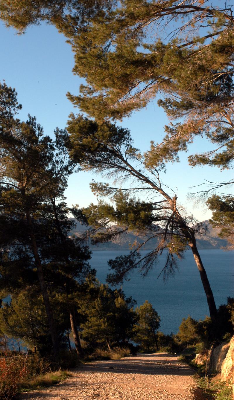 Petit Hotel Hostatgeria La Victoria Αλκούδια Εξωτερικό φωτογραφία